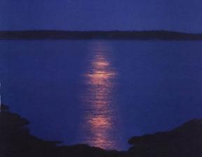 Absolut Vodka Print Campaign<br />photo credit: absolutad.com