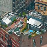 Rooftops<br />photo credit: lostateminor.com