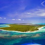 Anegada Reef, Anegada, British Virgin Islands<br />photo credit: Wikipedia