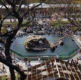 Central Park Zoo, New York<br />photo credit: centralparknyc.org