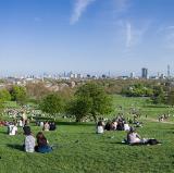 Primrose Hill, London, England<br />photo credit: Wikipedia