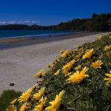 Waiheke Island, New Zealand<br />photo credit: Wikipedia