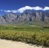 Stellenbosch Wineries, South Africa<br />photo credit: beachcomberpete.com