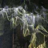 Waitomo Glowworm Caves, New Zealand<br />photo credit: glowworm.co.nz