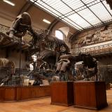 Skeleton Room, Muséum national d'Histoire naturelle, Paris<br />photo credit: www.facebook.com/museumnationaldhistoirenaturelle