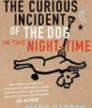 The Curious Incident of the Dog in the Night-Time<br />photo credit: Wikipedia