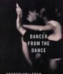 Dancer from the Dance<br />photo credit: goodreads.com